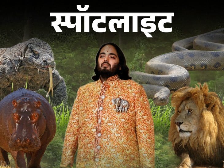 अनंत अंबानी का प्राइवेट जू फिर विवादों में