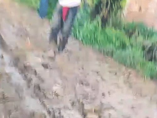 दमोह में भाई ने भाई  को गोली मारकर मौत के घाट उतारा