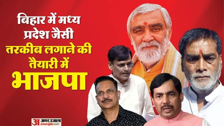 भाजपा के दिग्गज नेता  बिहार चुनाव में मैदान में उतरने को तैयार