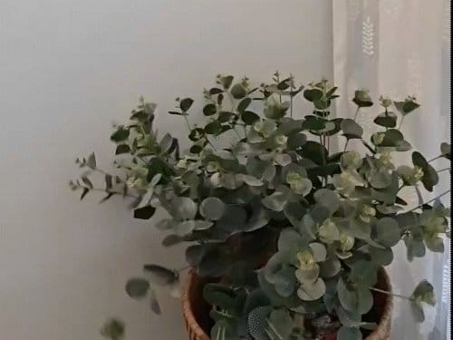 असम में 5.8 तीव्रता का भूकंप, कई राज्यों में महसूस हुए झटके