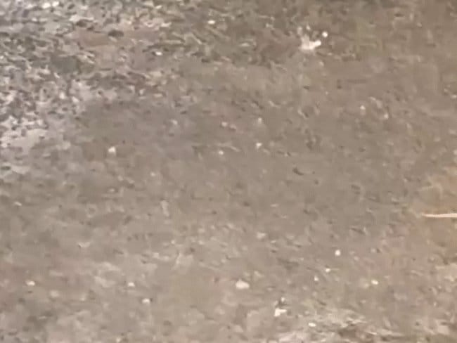 मध्यप्रदेश में मानसून की विदाई, कुछ जिलों में हल्की बारिश का अलर्ट