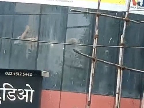 मुंबई में 17 बच्चों को बंधक  बनाने वाले आरोपी का एनकाउंटर