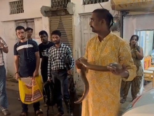सीधी में ब्यूटी पार्लर  से 25 करोड़ का दुर्लभ सांप रेस्क्यू