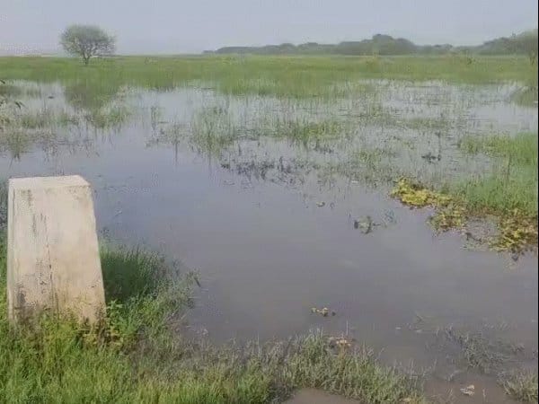 बड़ा तालाब  में अतिक्रमण पर एनजीटी सख्त, 2 सप्ताह में मांगी रिपोर्ट