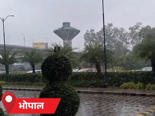 मध्य प्रदेश में बारिश का दौर जारी; श्योपुर में धान की फसल हुई बर्बाद
