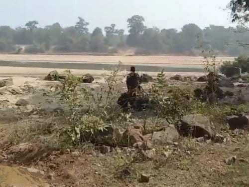 बीजापुर में एनकाउंटर  जवानों ने 3 नक्सलियों को मार गिराया, सर्च ऑपरेशन जारी