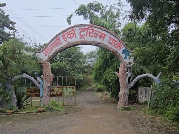 सिंहस्थ 2028  से पहले उज्जैन में बनेगा  अंतरराष्ट्रीय स्तर का जू और सफारी