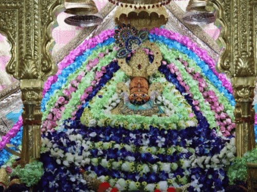 खाटूश्याम बाबा  का जन्मोत्सव: लाखों भक्तों ने किया दर्शन, दिवाली जैसा नजारा