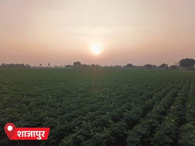 एमपी में कड़ाके की सर्दी तेज़, पचमढ़ी सबसे ठंडा