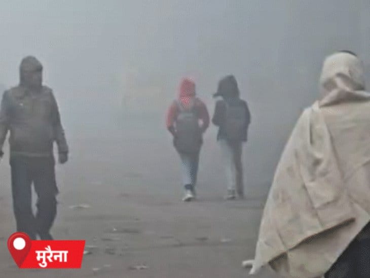 मध्य प्रदेश में कड़ाके की ठंड और घना कोहरा, पचमढ़ी सबसे ठंडा