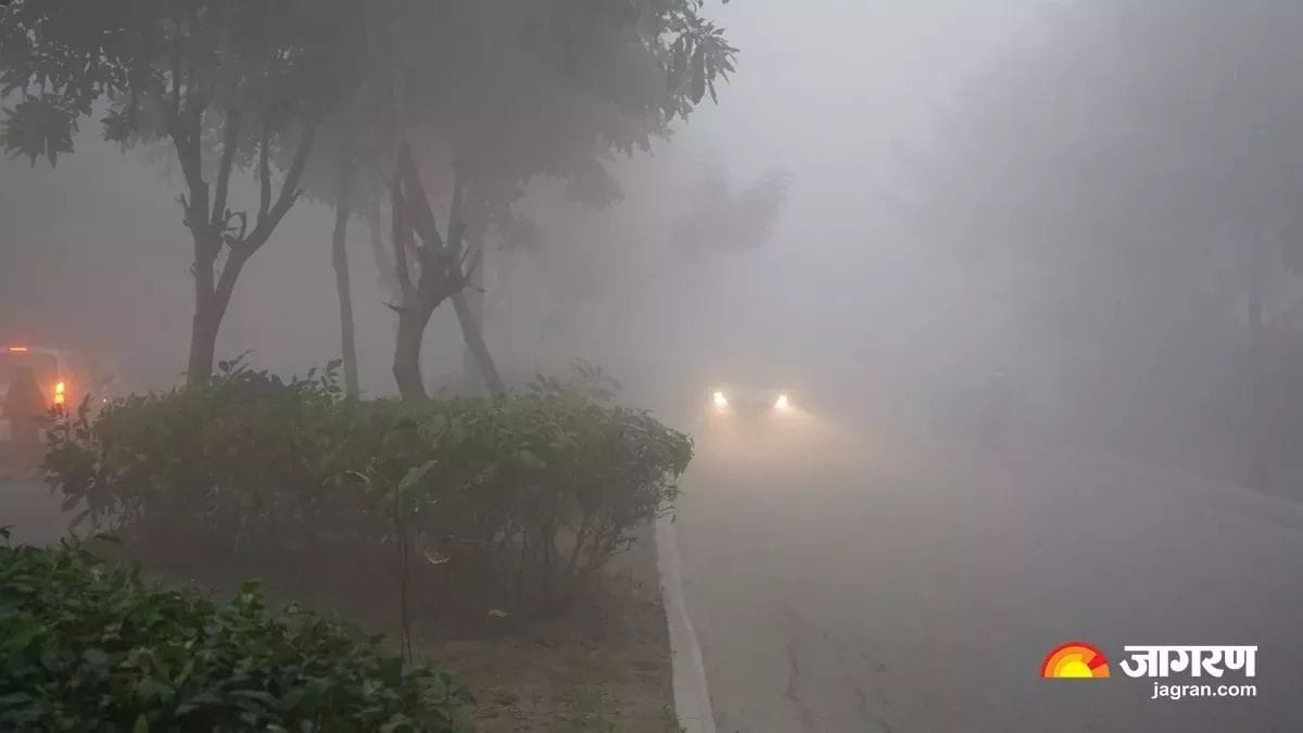 उत्तर भारत में कड़ाके की ठंड और घना कोहरा, उड़ानें-ट्रेनें बुरी तरह प्रभावित