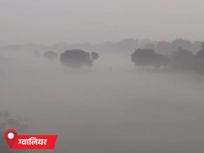 शीतलहर-कड़ाके की ठंड से MP के कई जिलों में स्कूल बंद, टाइमिंग बदली