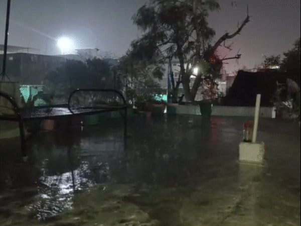 वेस्टर्न डिस्टरबेंस से आधा मध्य प्रदेश भिगेगा, मौसम विभाग ने बारिश-ठंड बढ़ने का अलर्ट