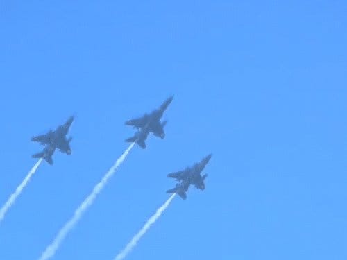 जयपुर में पहली बार आर्मी-डे परेड, शहीद की मां बेहोश