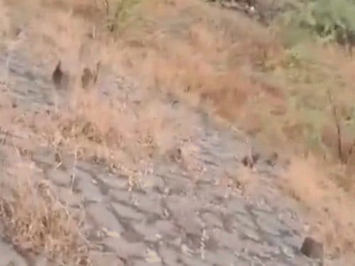 महाराष्ट्र में डिप्टी CM अजीत पवार का प्लेन क्रैश, बारामती में बड़ा हादसा