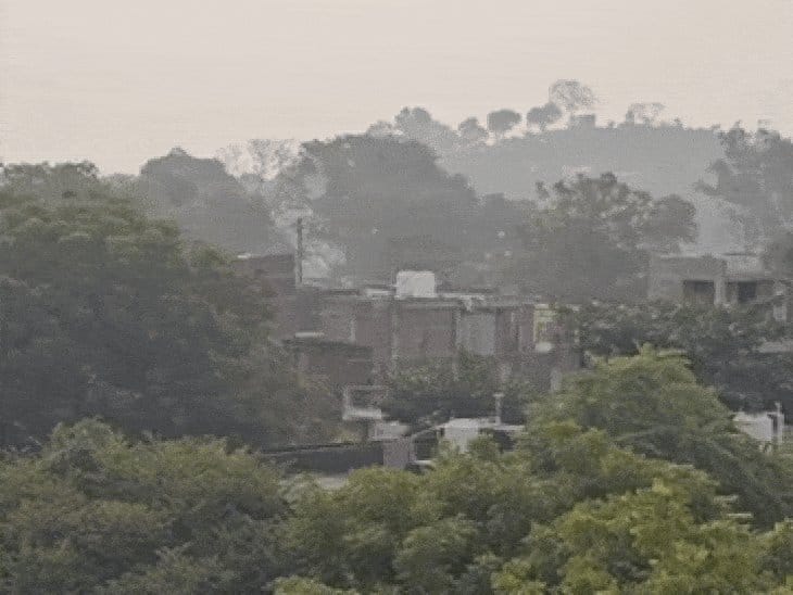 वेस्टर्न डिस्टरबेंस से बदलेगा MP का मौसम, जनवरी अंत में लौटेगी कड़ाके की सर्दी