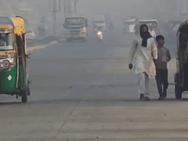 सर्द हवा से ठिठुरा मध्यप्रदेश, 15 जिलों में घना कोहरा, 4 में कोल्ड डे अलर्ट