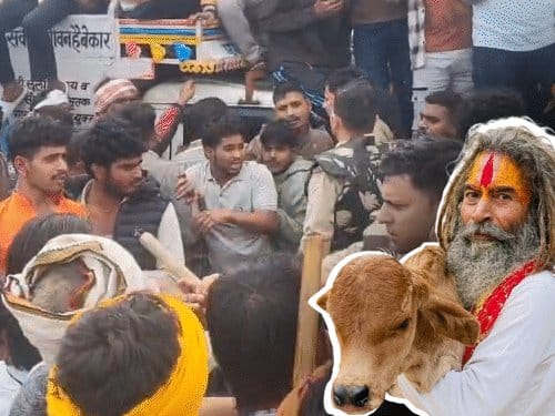 मथुरा में साधु की मौत पर हंगामा: पुलिस की गाड़ियां तोड़ीं, पथराव और दो थ्योरी पर जांच