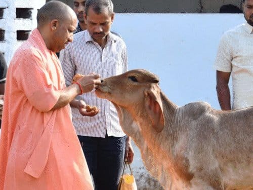शंकराचार्य  अविमुक्तेश्वरानंद का  योगी सरकार  पर  गोमाता  के मुद्दे पर वार:  वाराणसी  से  लखनऊ  तक  यात्रा