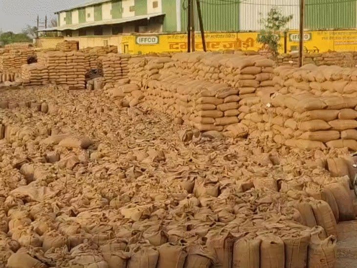 मध्य प्रदेश गेहूं खरीदी में किसान परेशान, CM के औचक निरीक्षण से हलचल