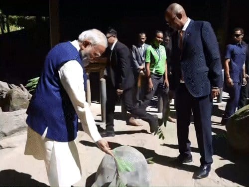 प्रधानमंत्री मोदी सेशेल्स में कछुओं को पत्तियां खिलाईं, 50 साल पुराने भारतीय रिश्तों को मजबूती