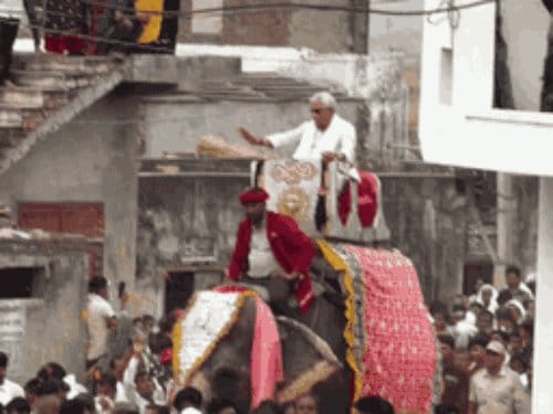 कृषि मंत्री हाथी पर पहुंचे दंगल, लोक कलाकारों संग जमकर नाचे