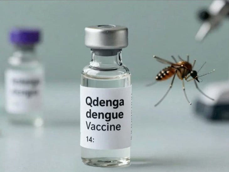 भारत को मिली पहली डेंगू वैक्सीन QDENGA, 4 से 60 साल के लिए मंजूरी