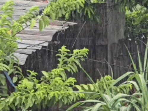वाराणसी में 48 घंटे बारिश के आसार, गंगा जलस्तर बढ़ने से मंदिर जलमग्न