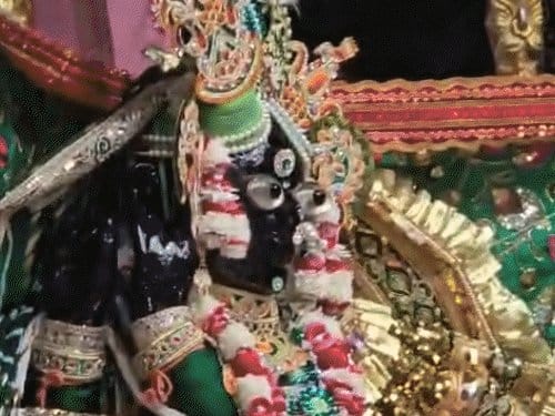हरियाली तीज: सोने-चांदी के झूले पर विराजे बांके बिहारी, 50 हजार भक्तों ने किए दर्शन