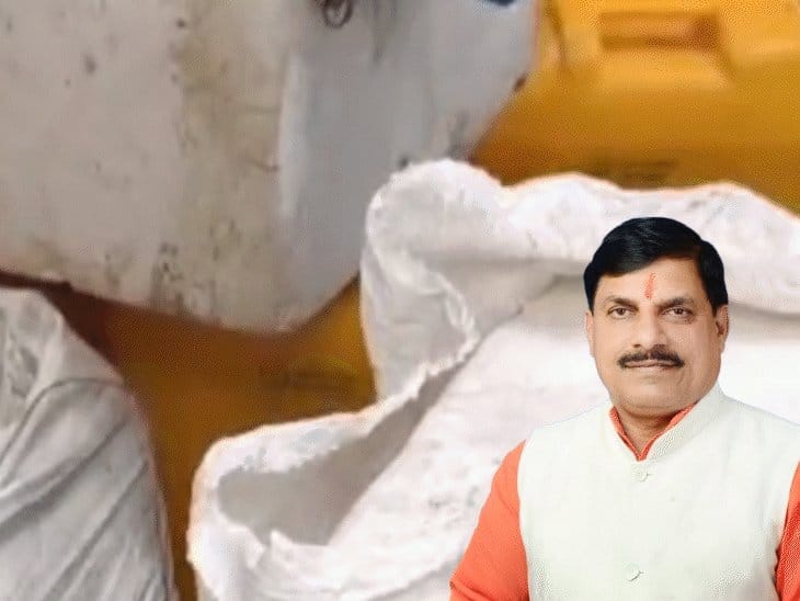 मध्य प्रदेश में वनस्पति से बना पनीर बैन, देश का चौथा राज्य बना