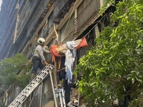 मुंबई में नवविवाहिता की 10वीं मंजिल से छलांग, पेड़ में फंसकर बची जान
