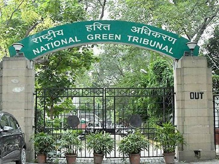 पेड़ों में जहरीले रसायन डालकर सूखाने पर NGT सख्त: भोपाल में पर्यावरणीय नुकसान पर आदेश