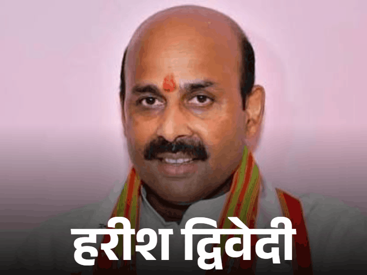 भाजपा ने 7 मोर्चा प्रभारी घोषित, मध्य प्रदेश से दो नेताओं को महत्वपूर्ण जिम्मेदारी